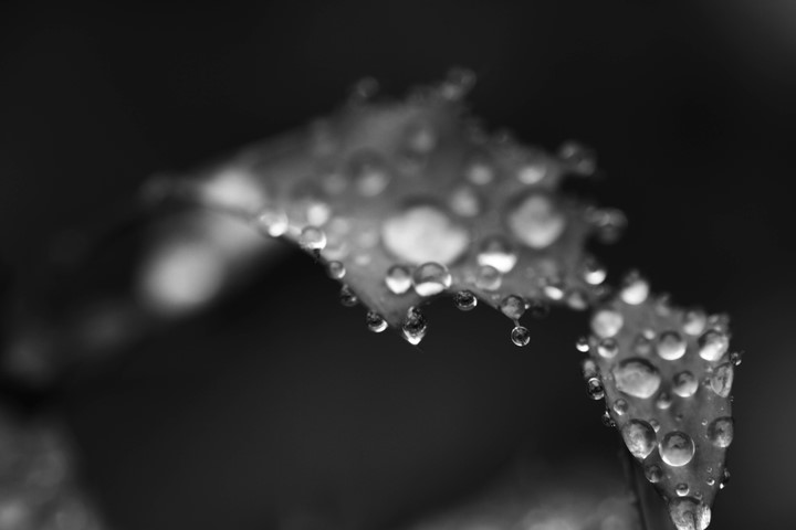 p_large_7A5I_534f0003c7755c16.jpg