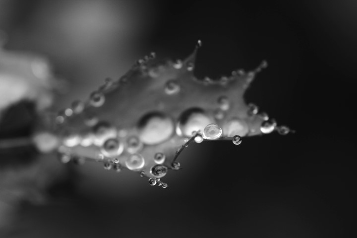 p_large_1HVk_532b0000a57a5c16.jpg