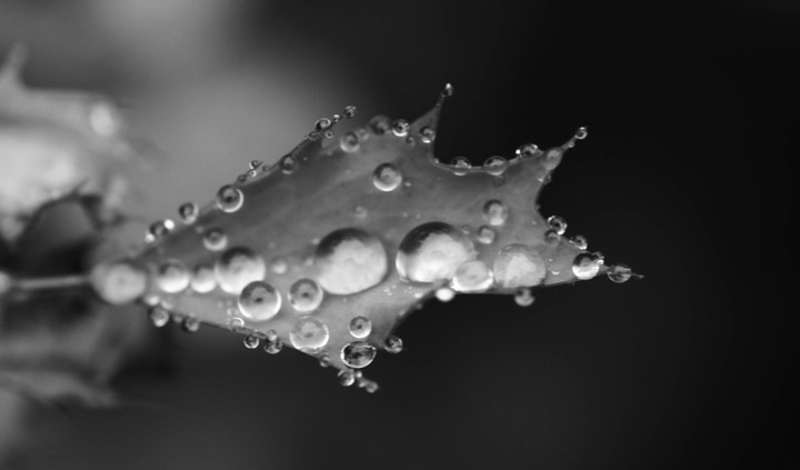 p_large_Ww4F_535b0006629d5c16.jpg