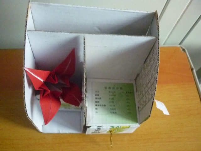 P1010775.jpg