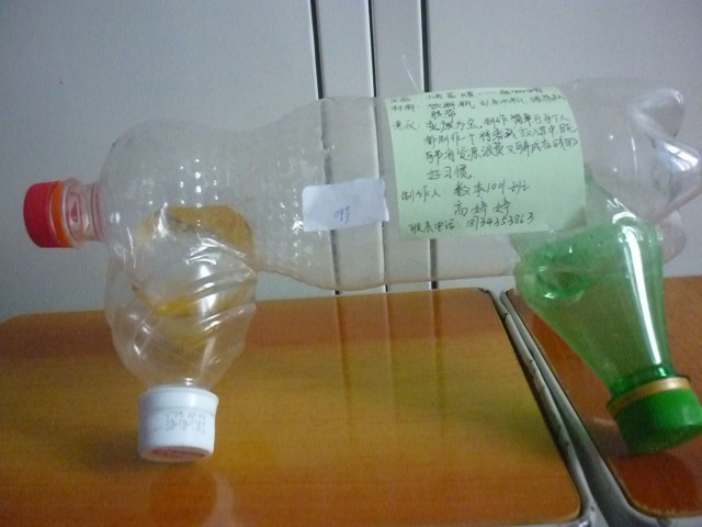 P1010771.jpg