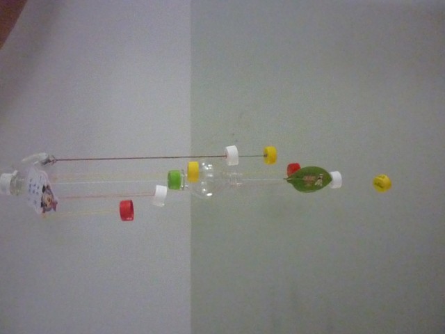 P1010757.jpg