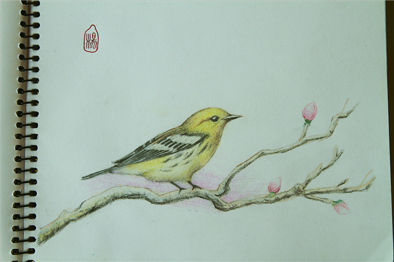 IMG_0002_副本.jpg