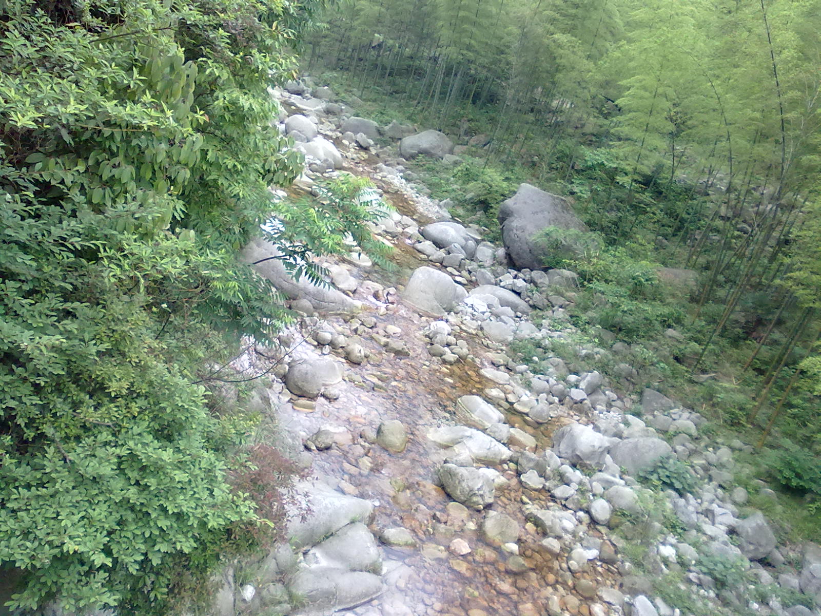 201105211196.jpg