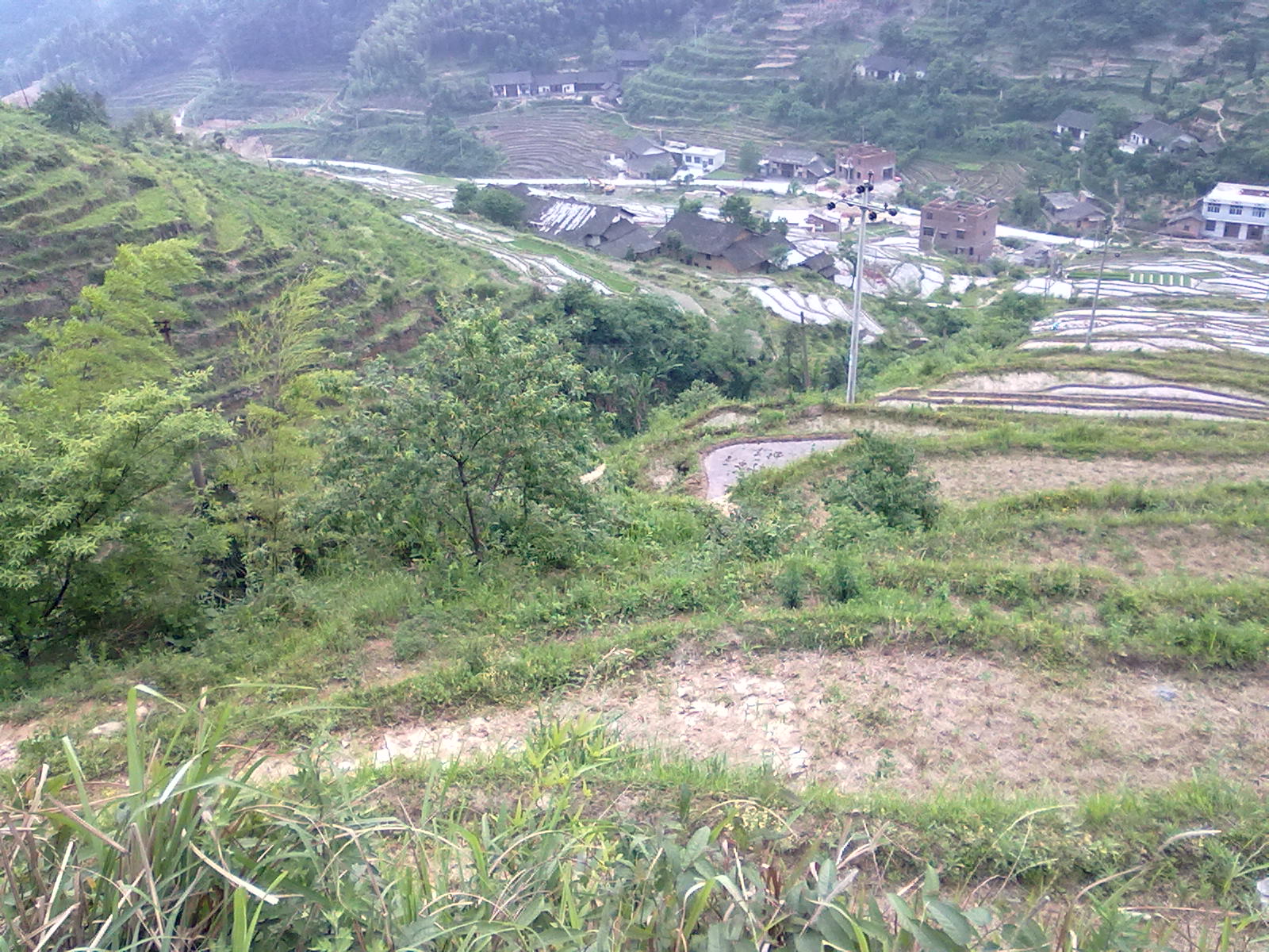201105201127.jpg