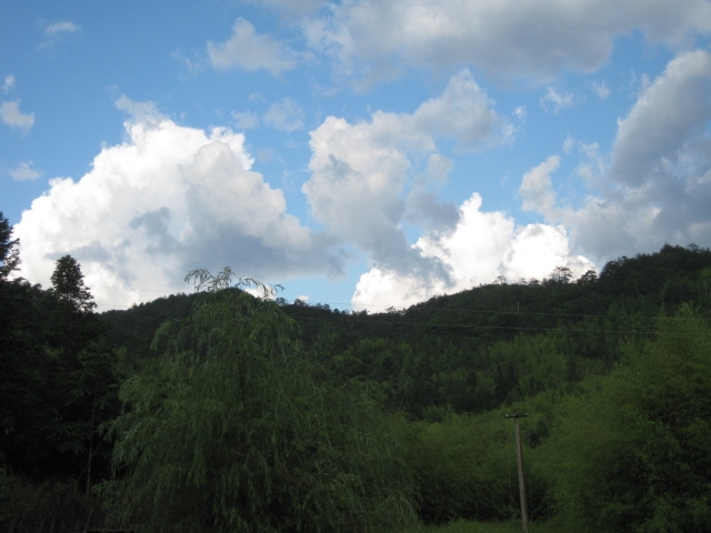 IMG_8583.JPG