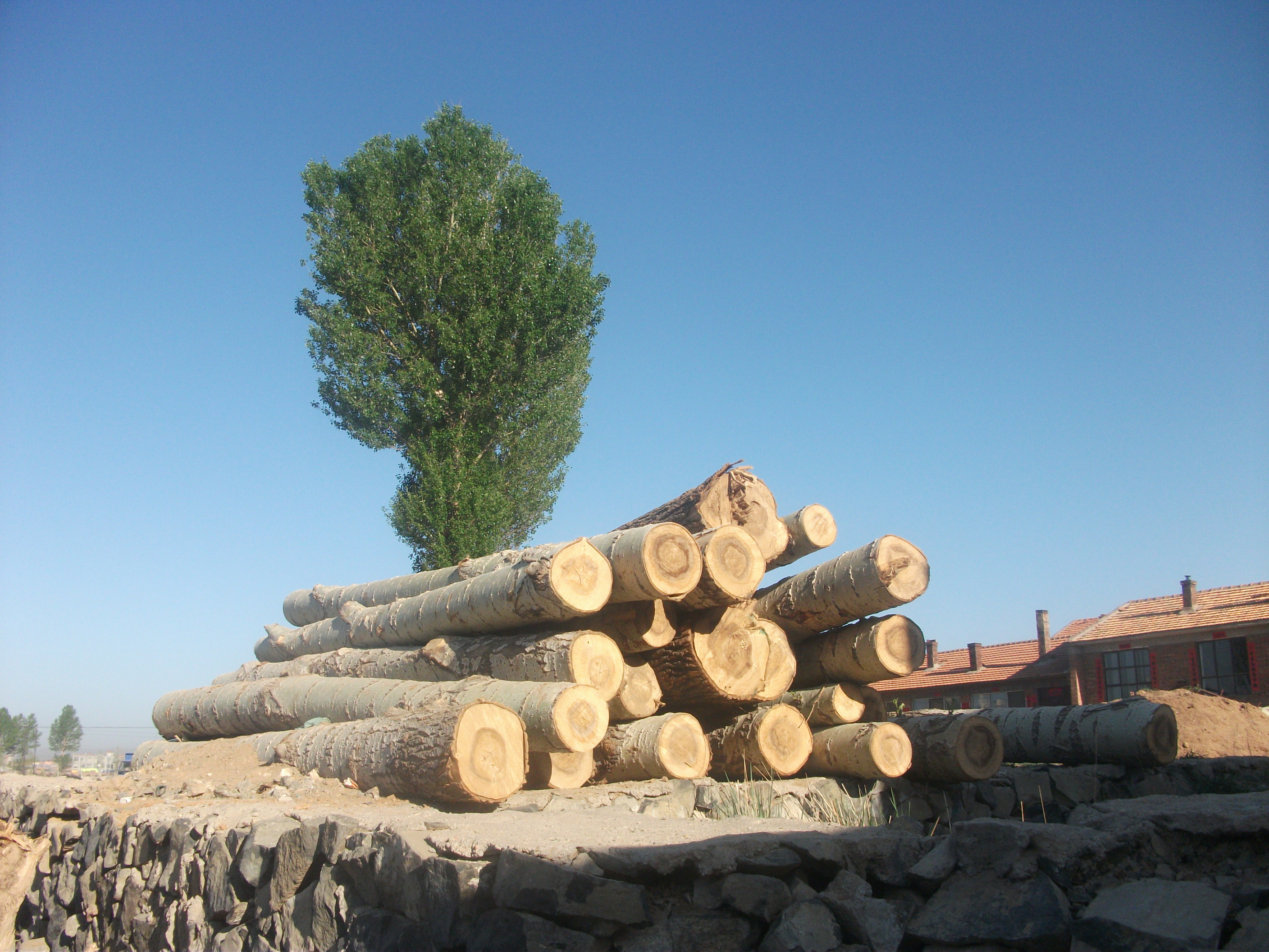 DSCF7312.JPG