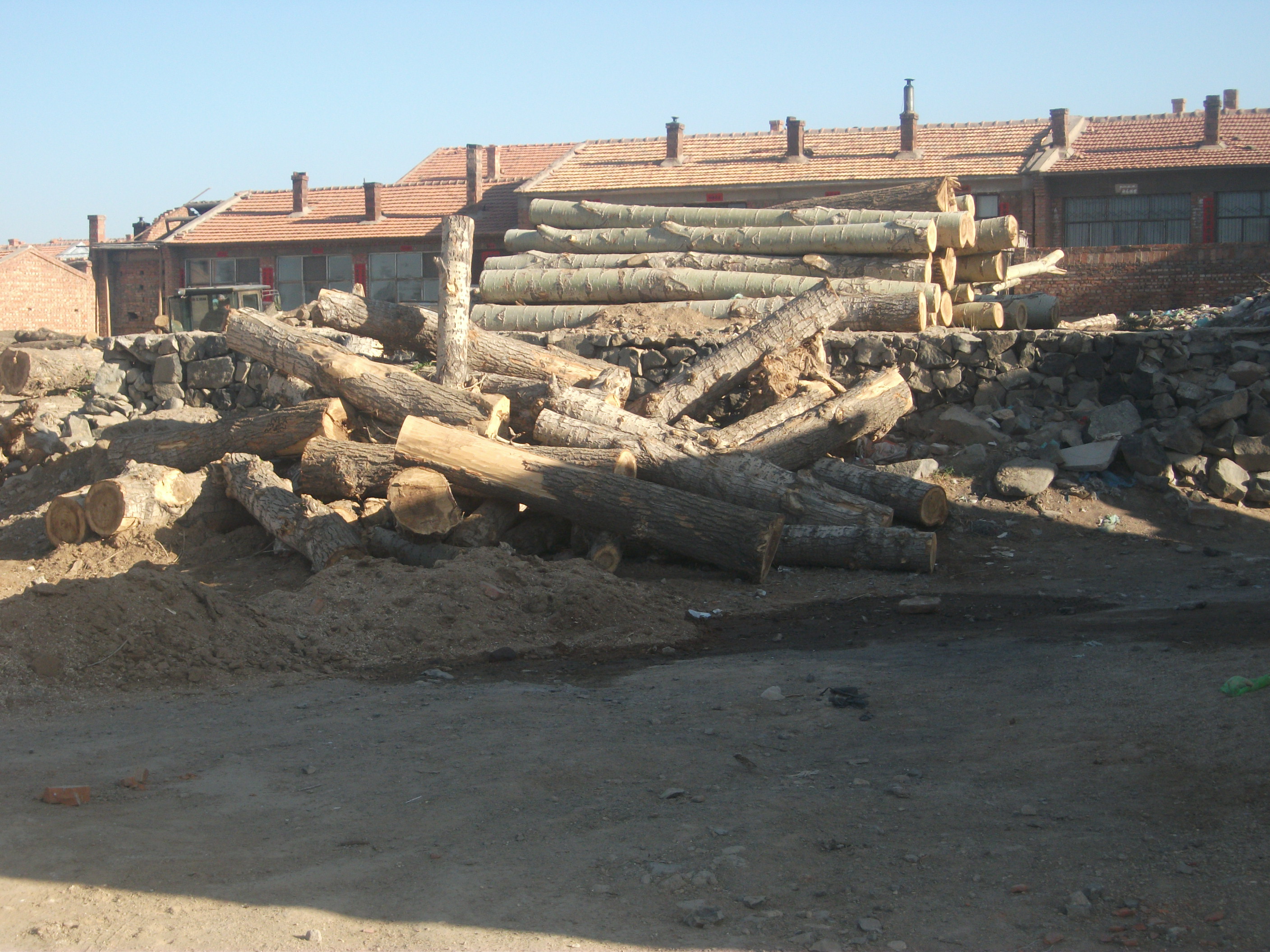 DSCF7306.JPG