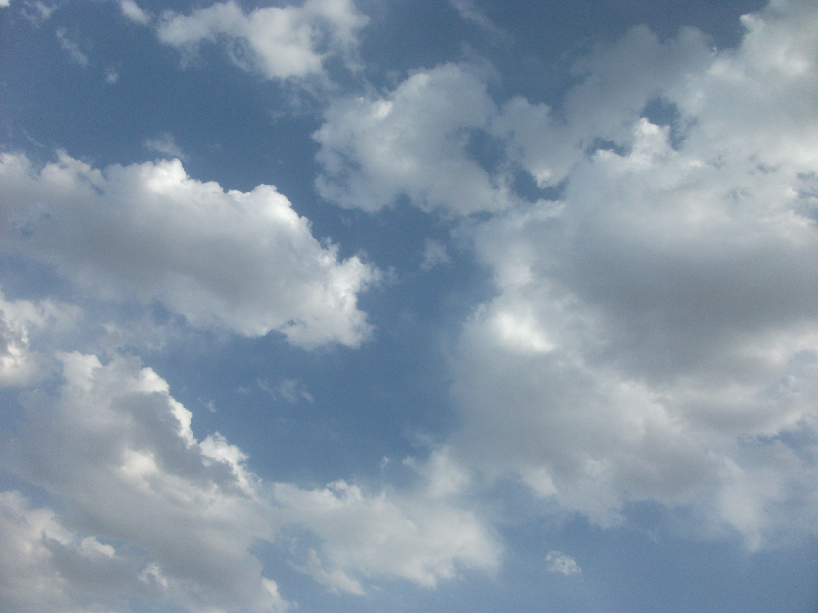 DSCF7427.JPG