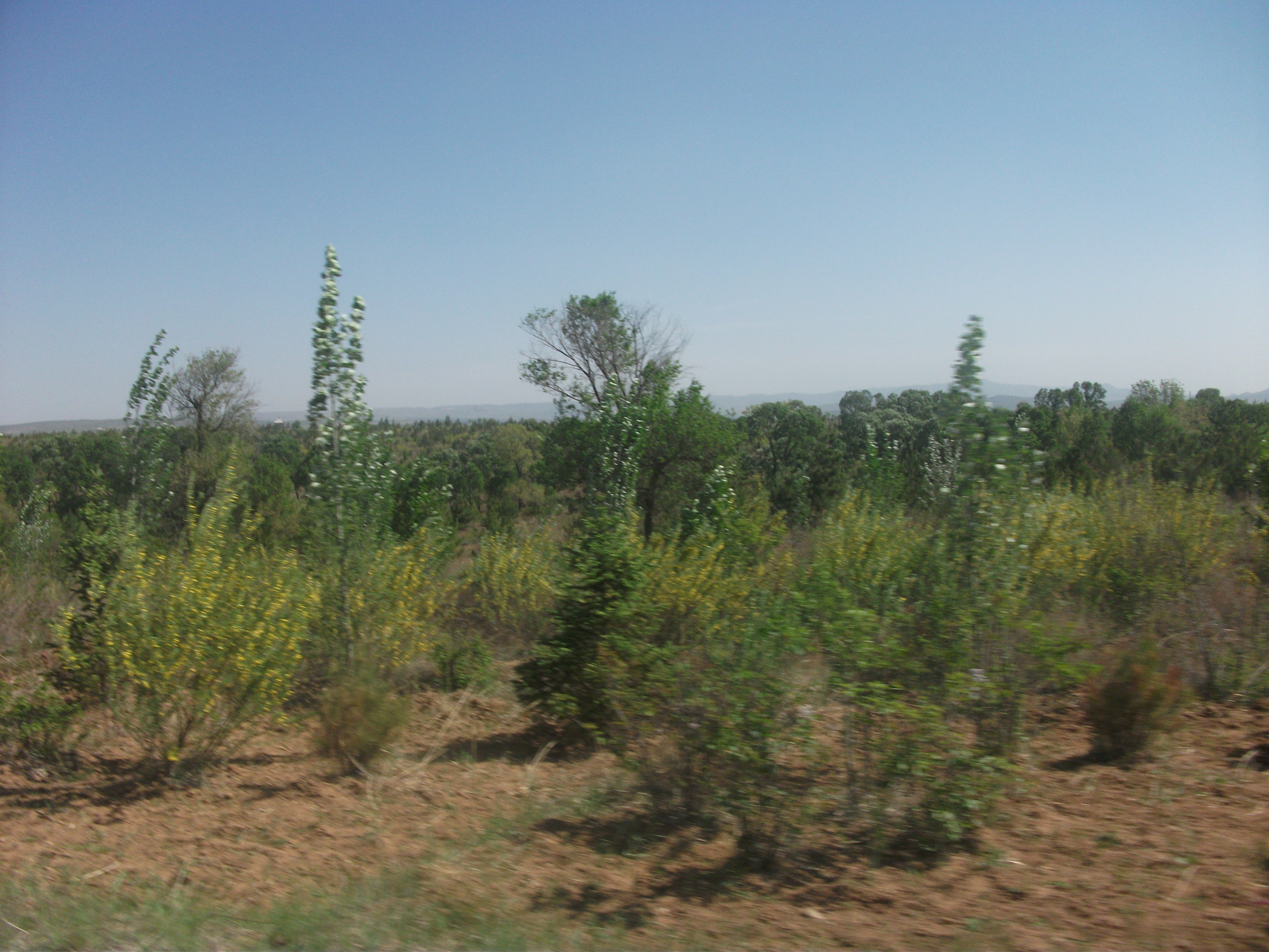 DSCF7331.JPG