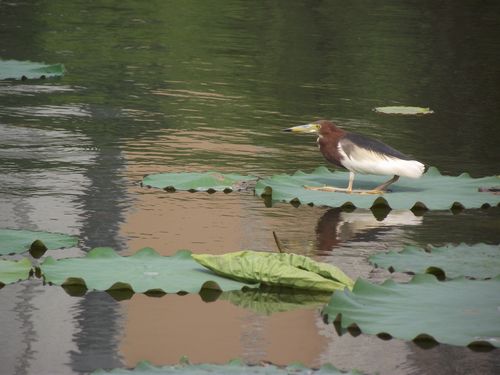 DSCF5161.jpg