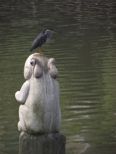 DSCF5205.jpg