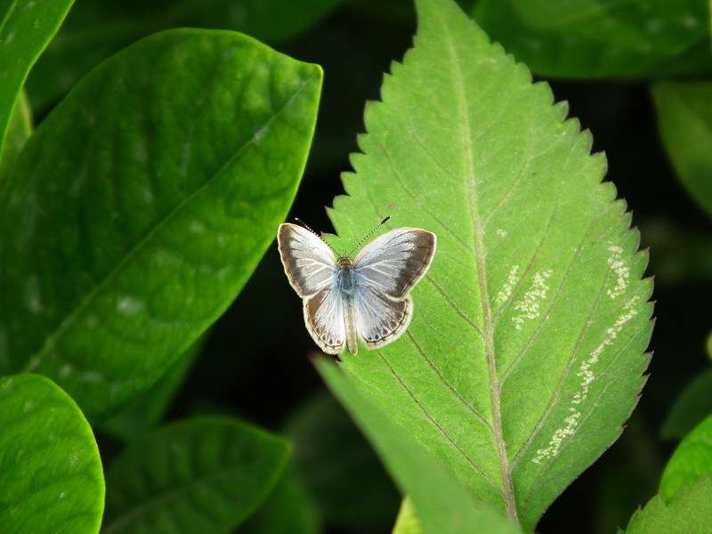 DSCF1062_调整大小.JPG