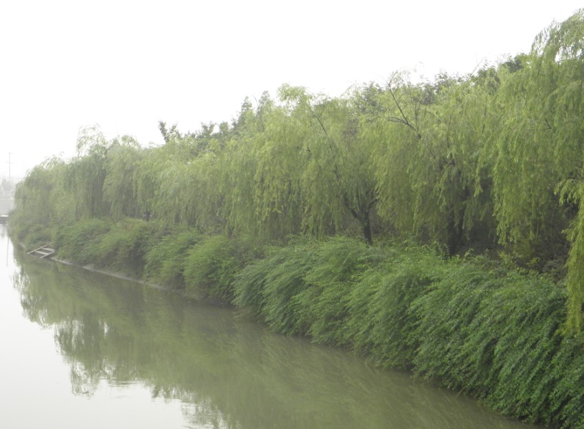 师大的护校河