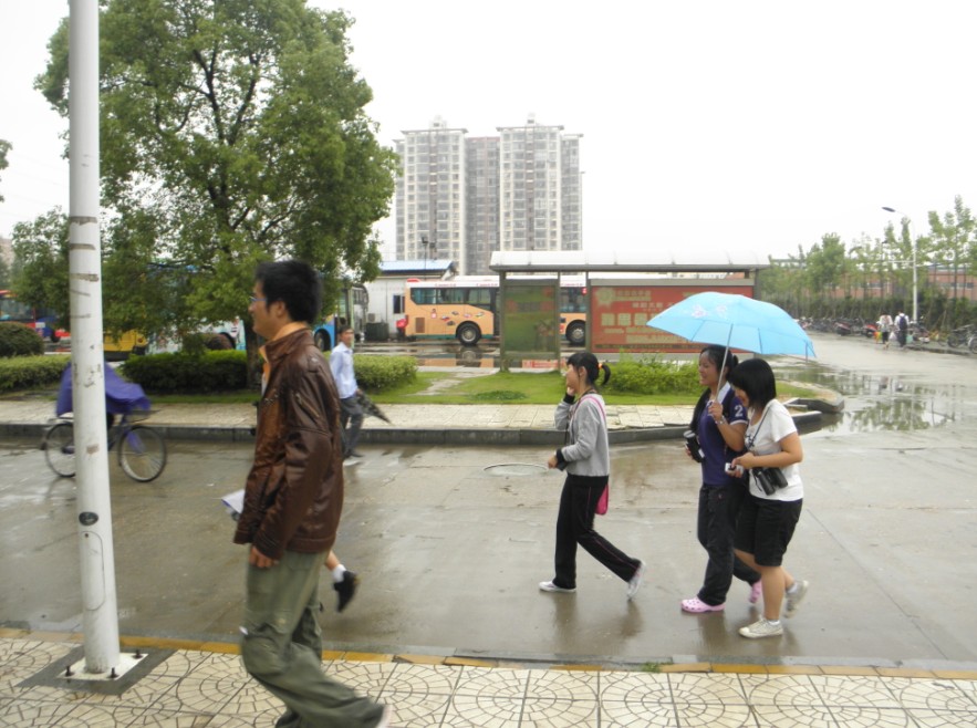 雨中观鸟 带着新人，鸟鸟品果然会爆发啊！