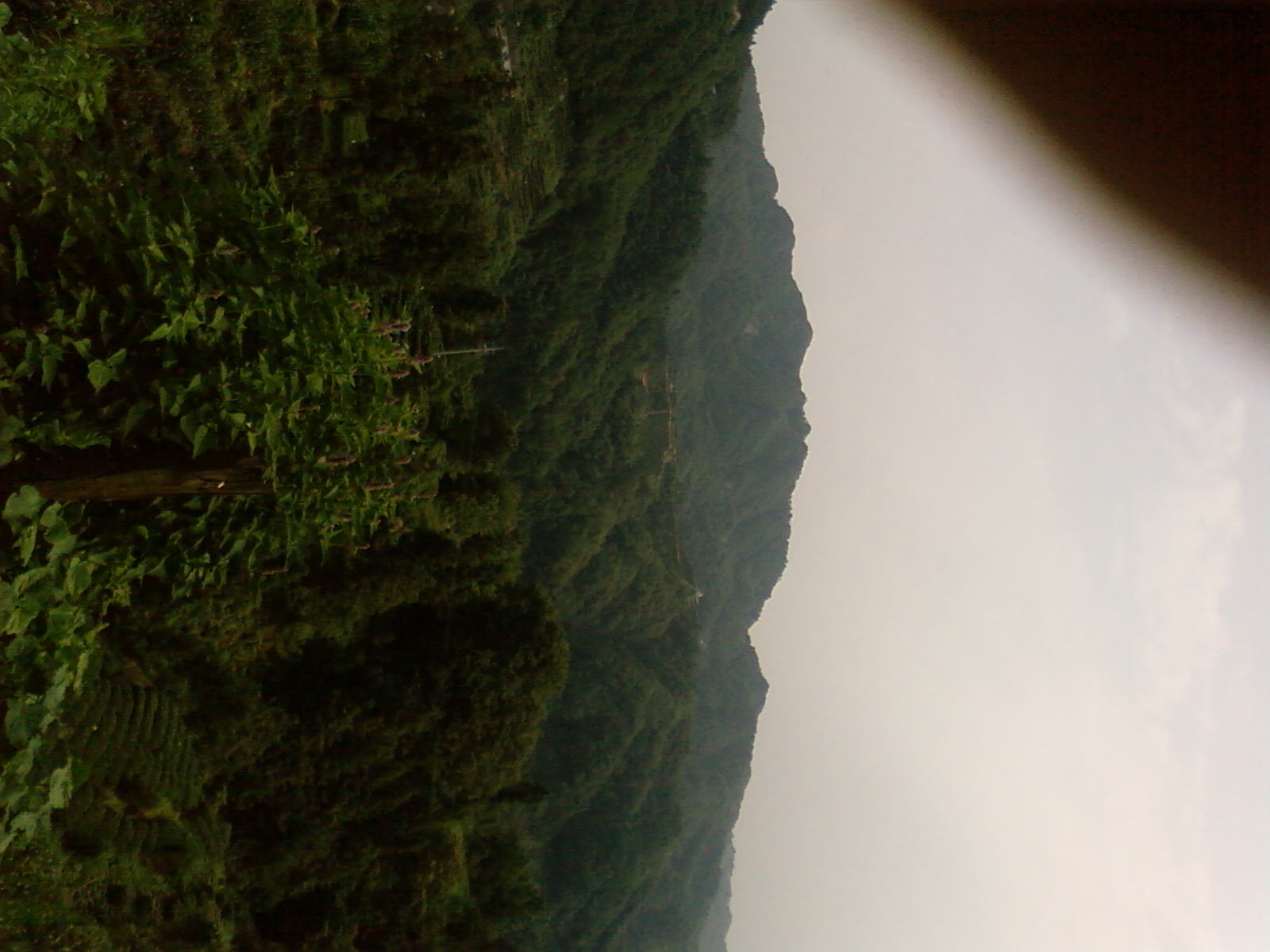(R)SP_A0584大老岭.jpg
