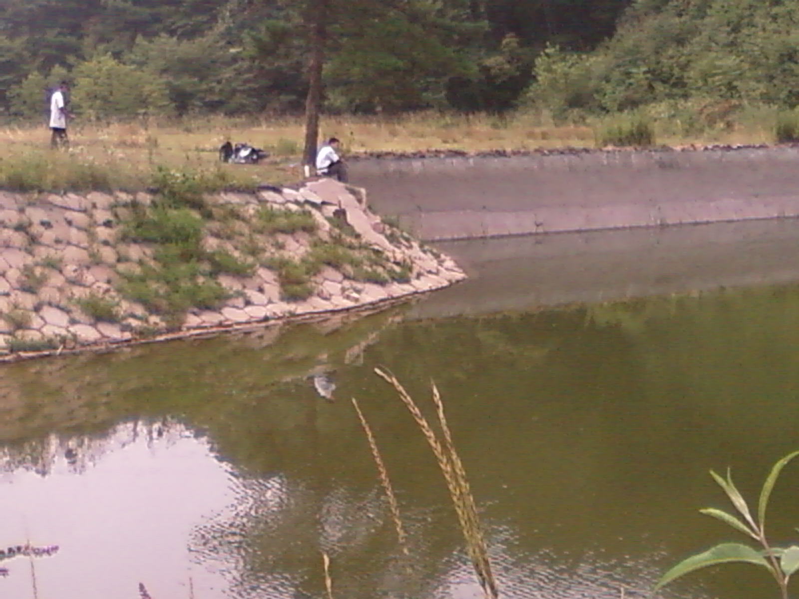 SP_A0670.jpg