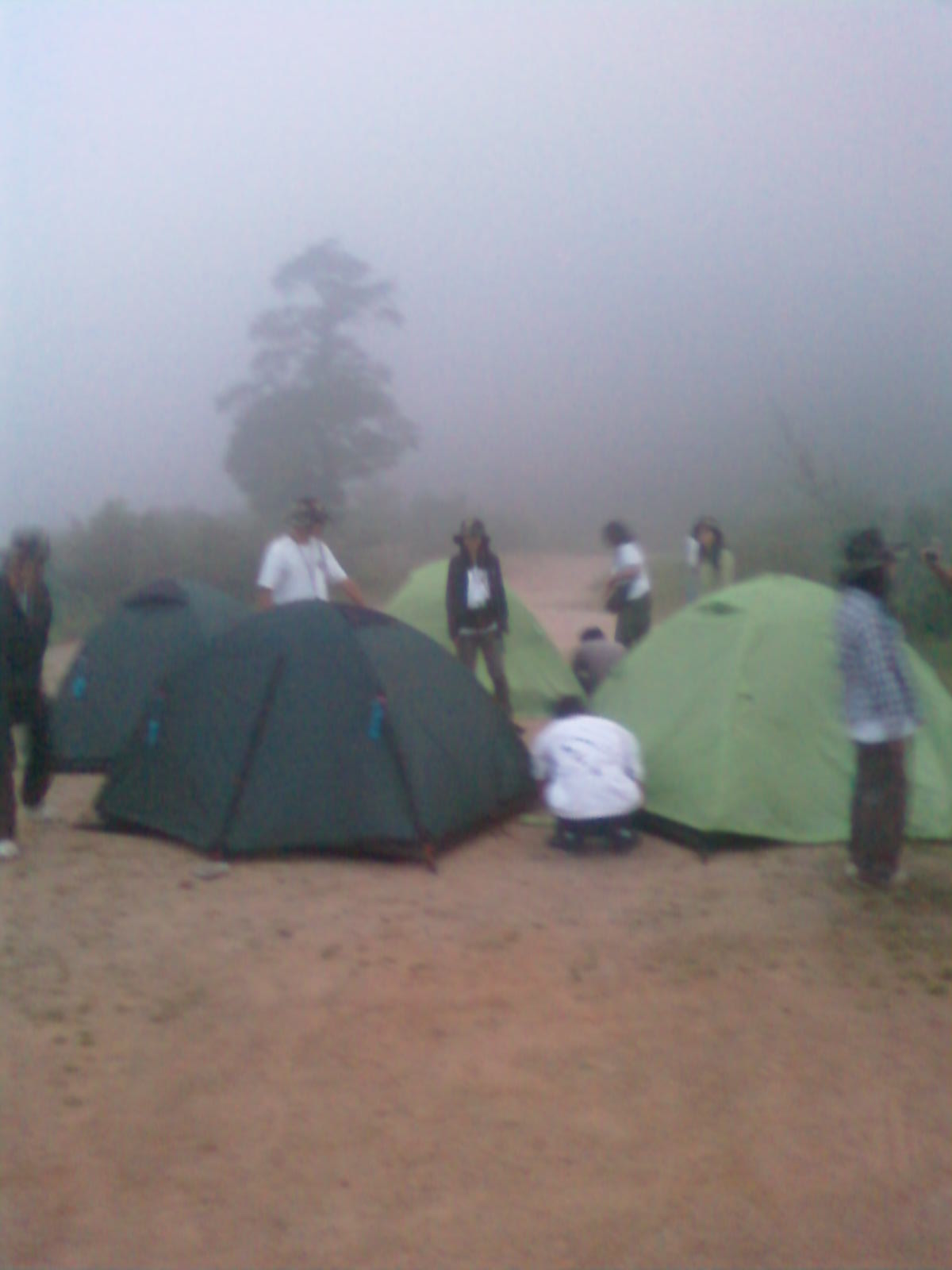 SP_A0662.jpg