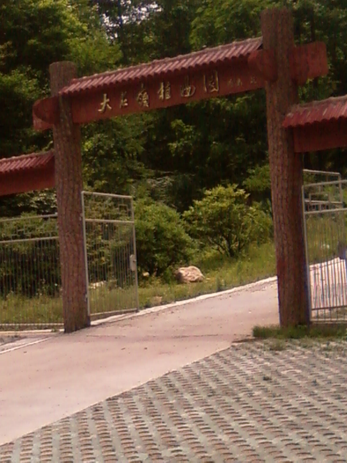 SP_A0649.jpg