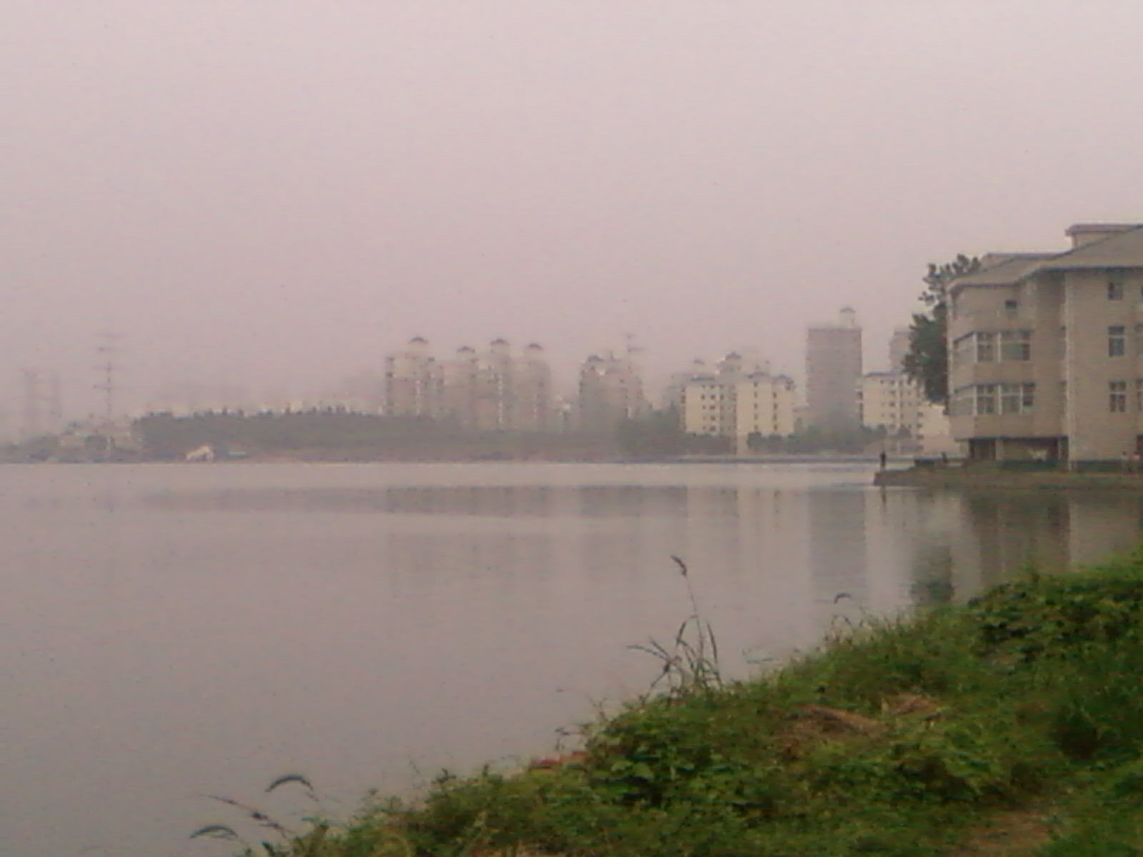 SP_A0450.jpg