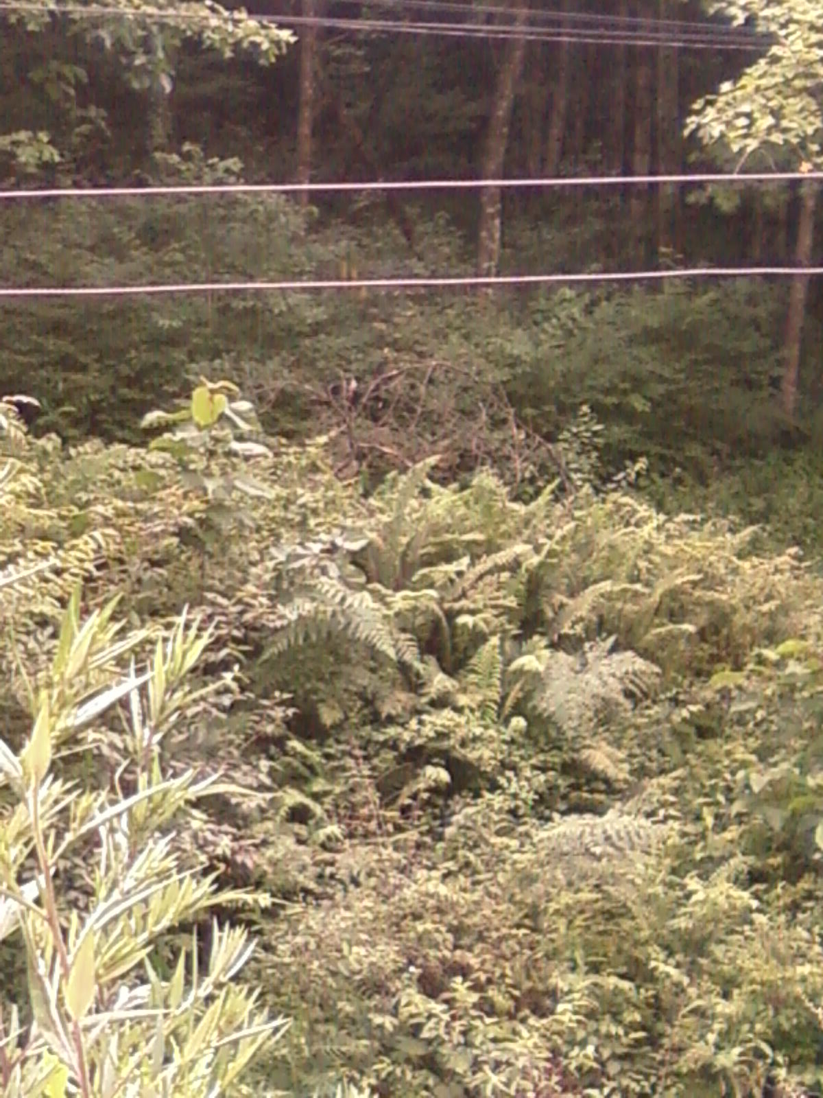 SP_A0643.jpg