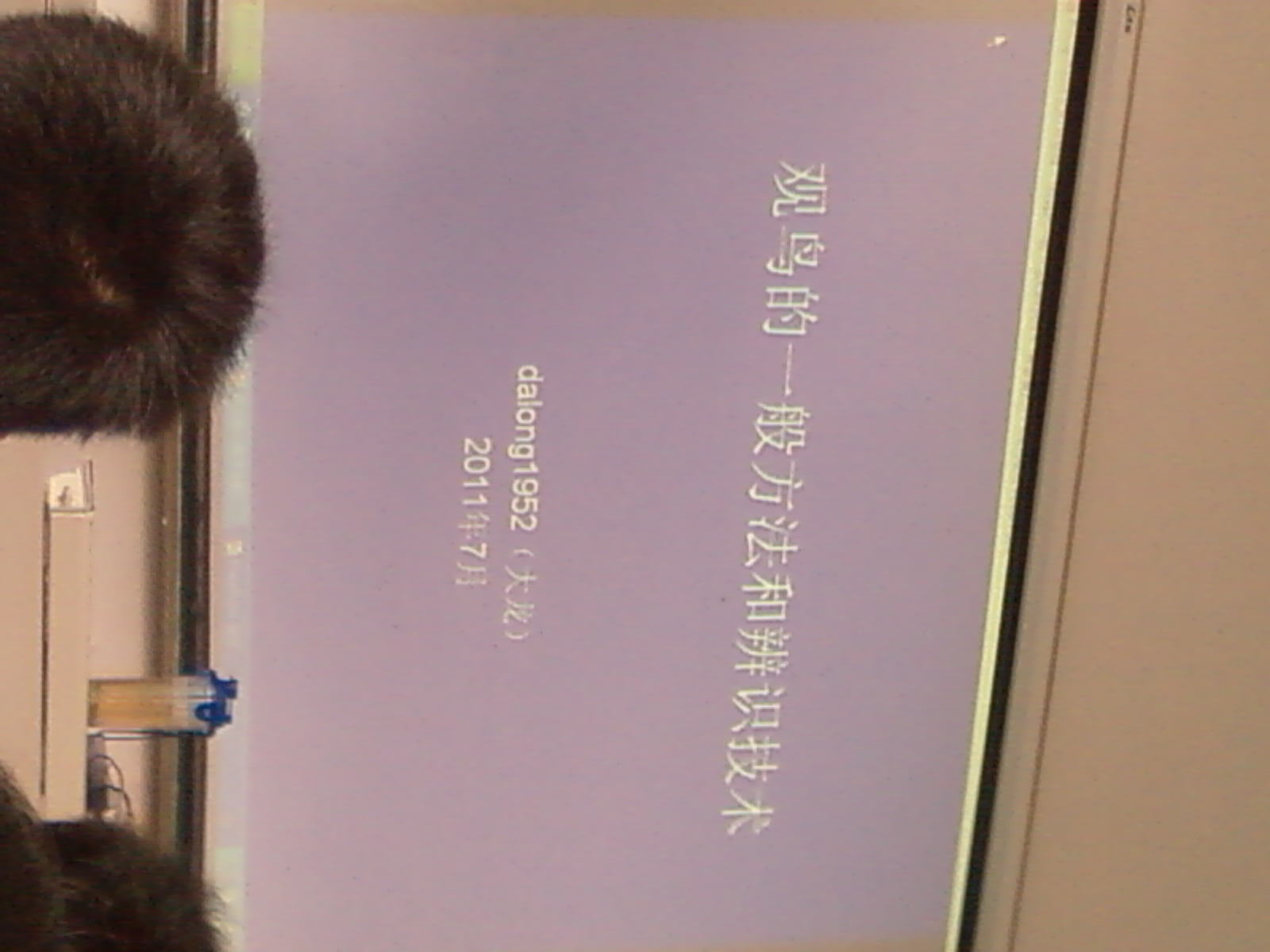SP_A0501.jpg