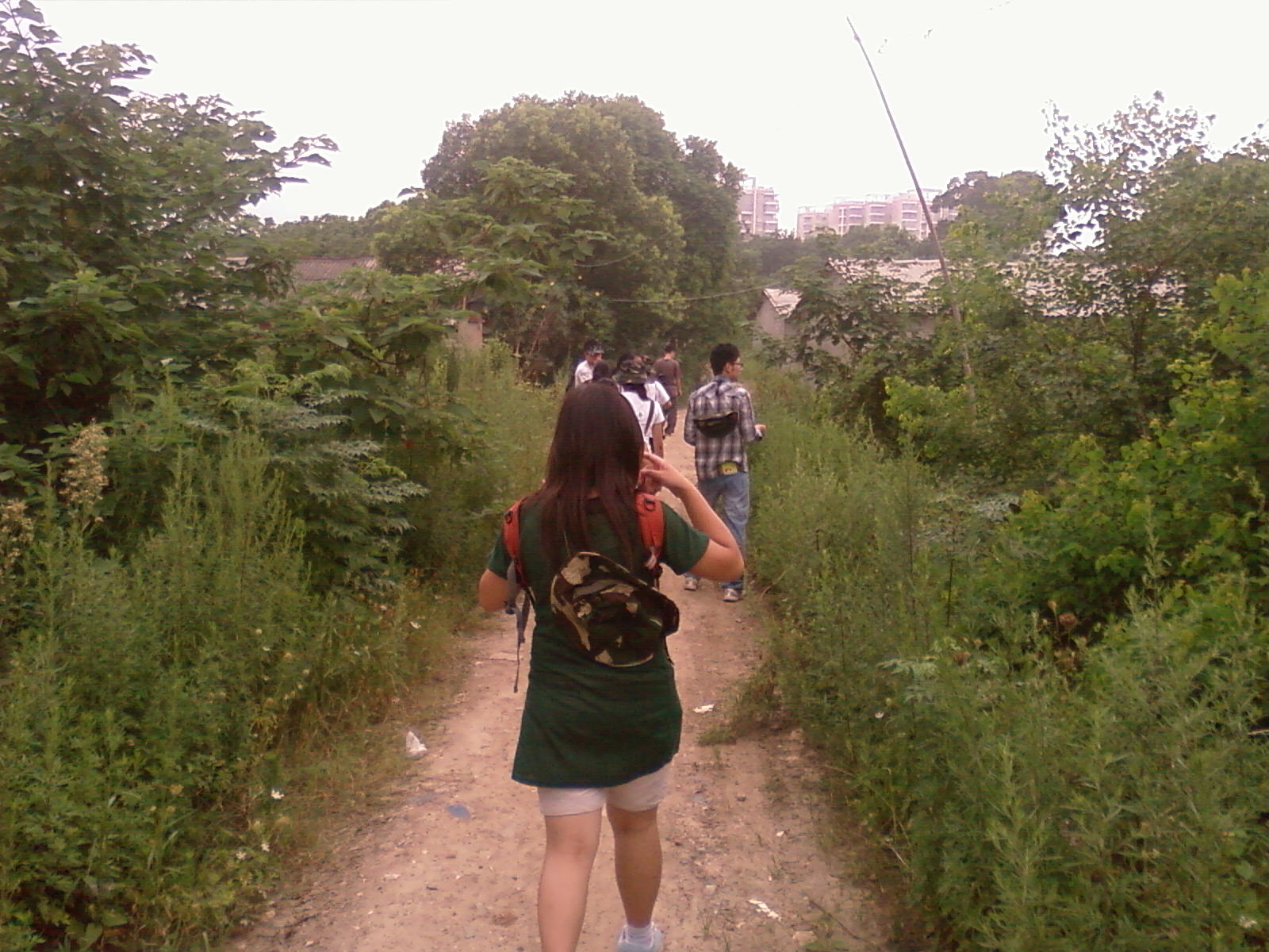 SP_A0444.jpg