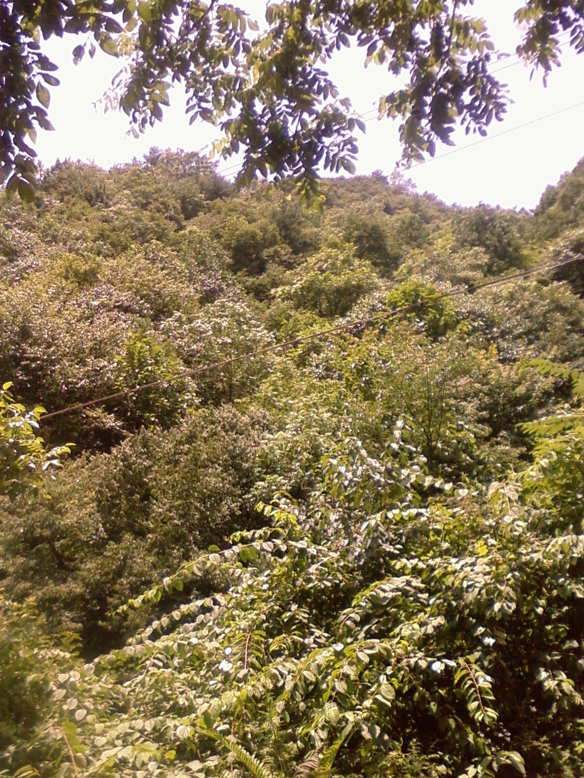 SP_A0640.jpg