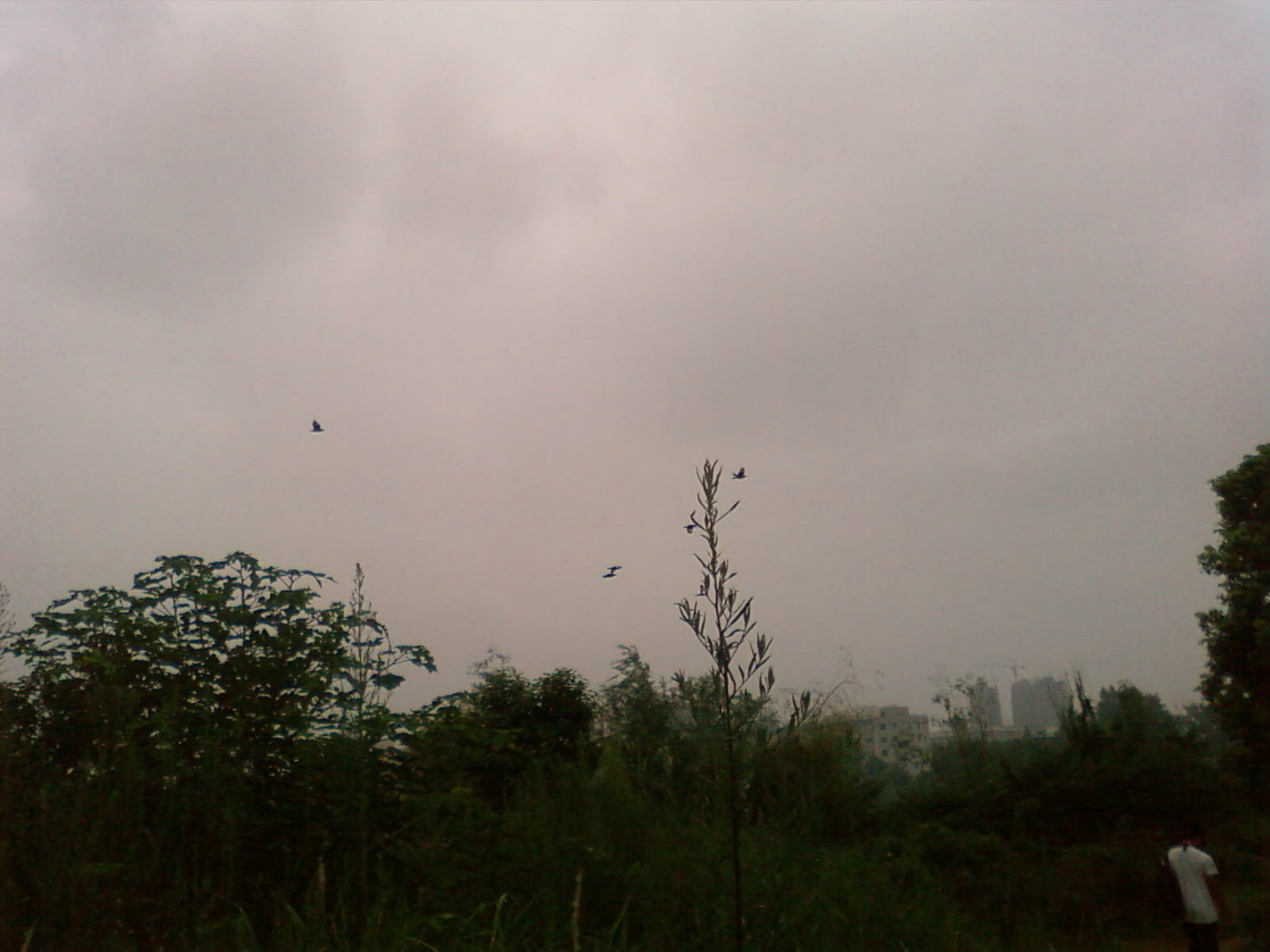 SP_A0447.jpg