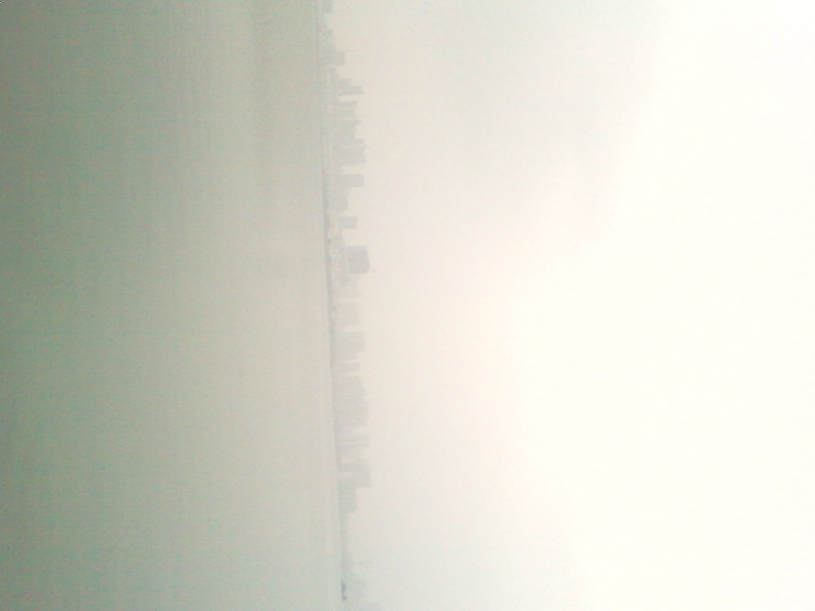 SP_A0448.jpg