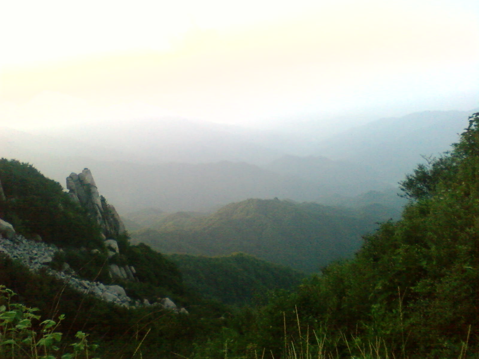 SP_A0660.jpg