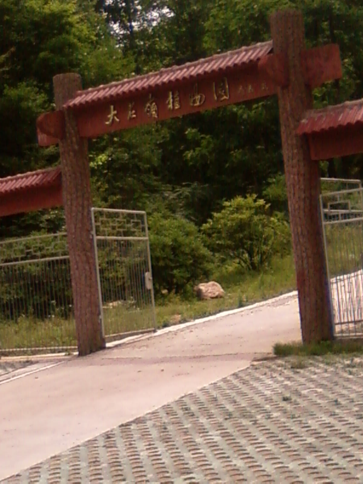 SP_A0650.jpg
