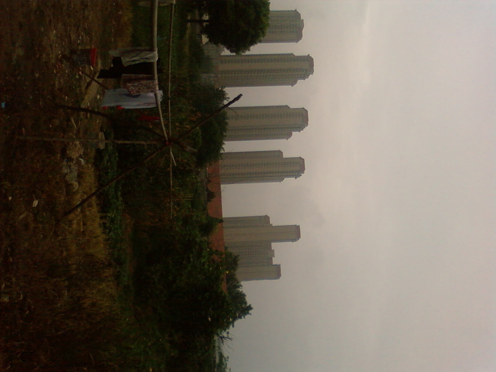 SP_A0446.jpg