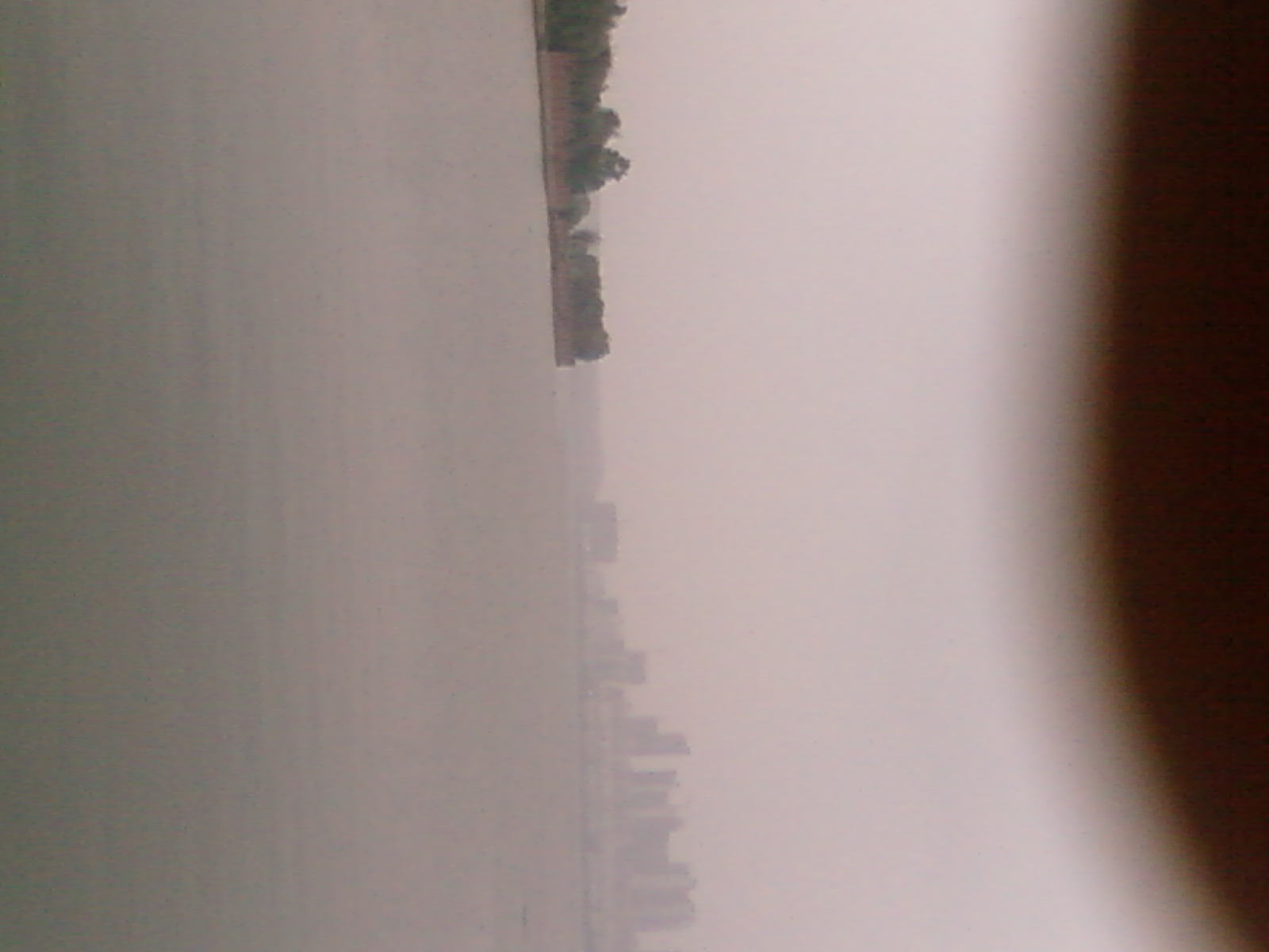 SP_A0449.jpg