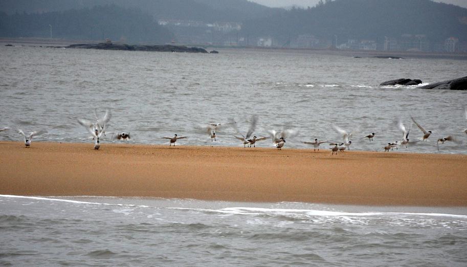 搜狗浏览器截图.jpg