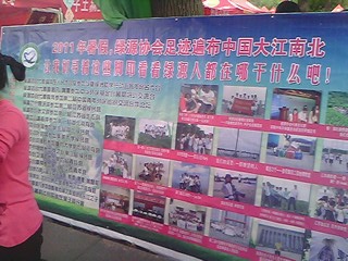IMG1124A.jpg