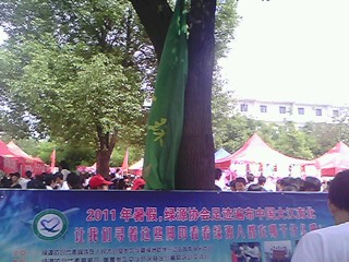 IMG1128A.jpg