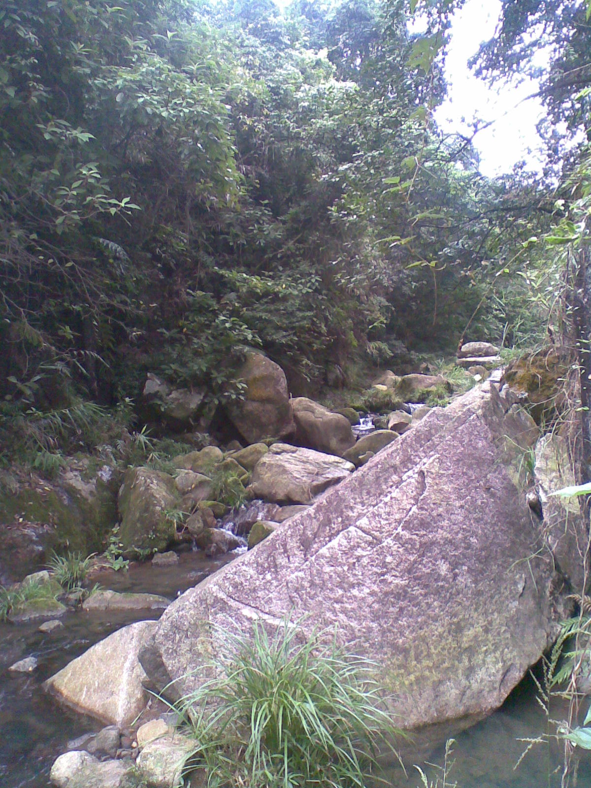 20111006_006.jpg