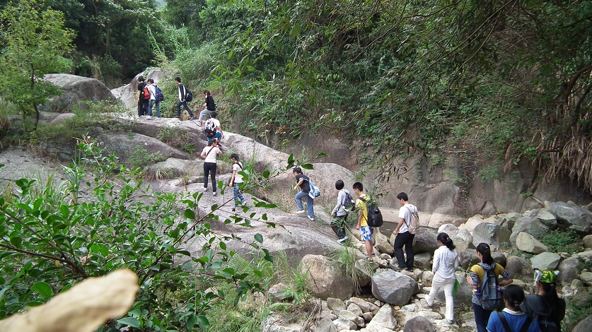搜狗浏览器截图(12).jpg