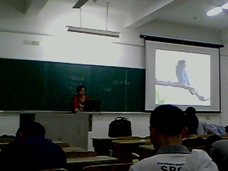 IMG1195A.jpg