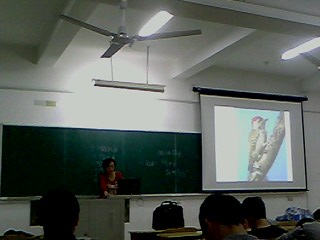 IMG1200A.jpg