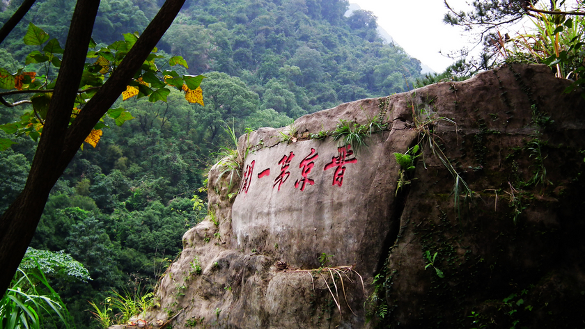 DSCF5595.jpg