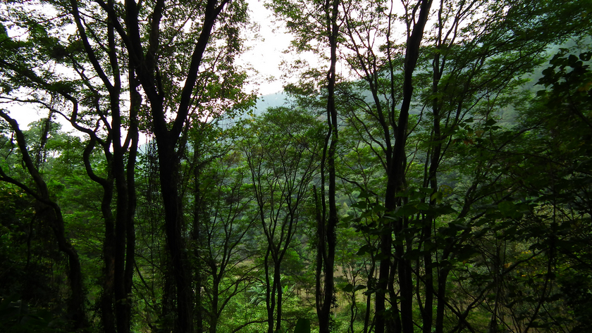 DSCF5592.jpg
