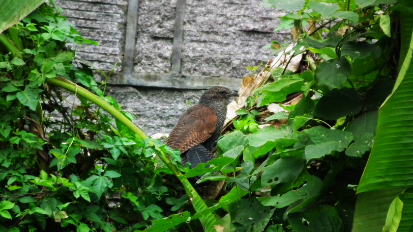 DSCF5578.jpg