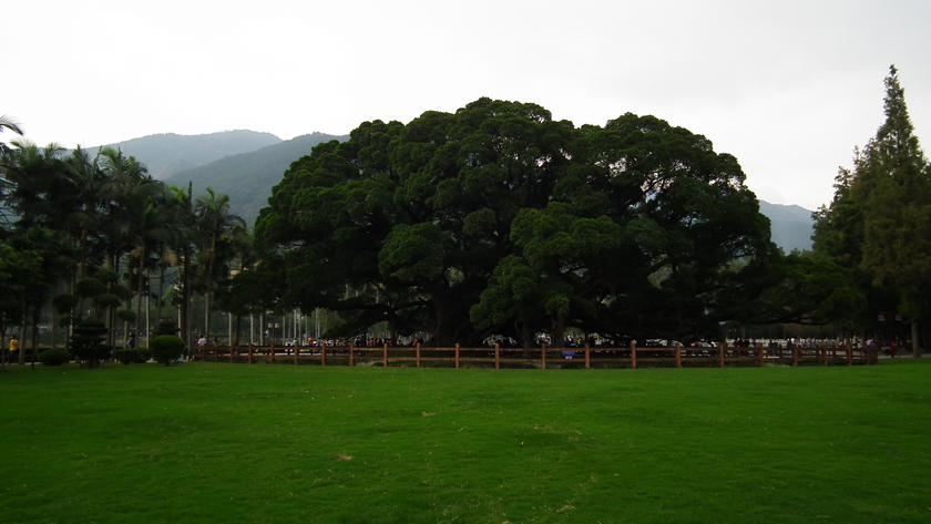 DSCF5621.jpg