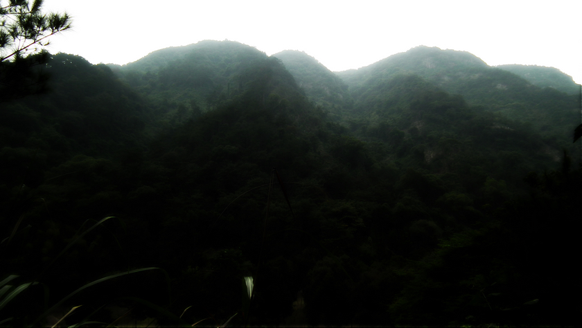 DSCF5591.jpg