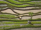 20111228-3.jpg