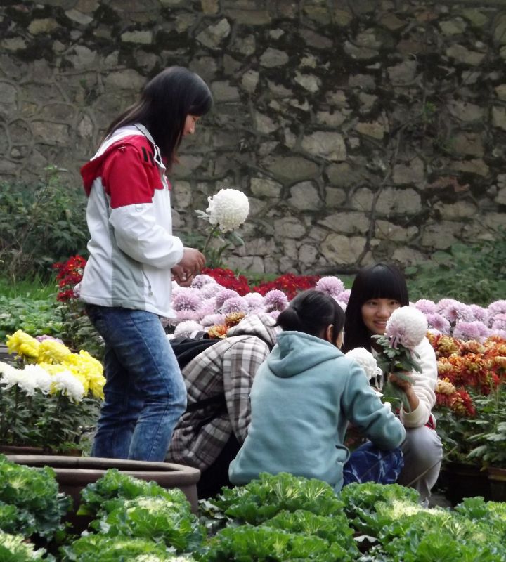 花圃园认知