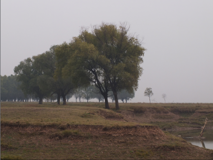 风景3.png