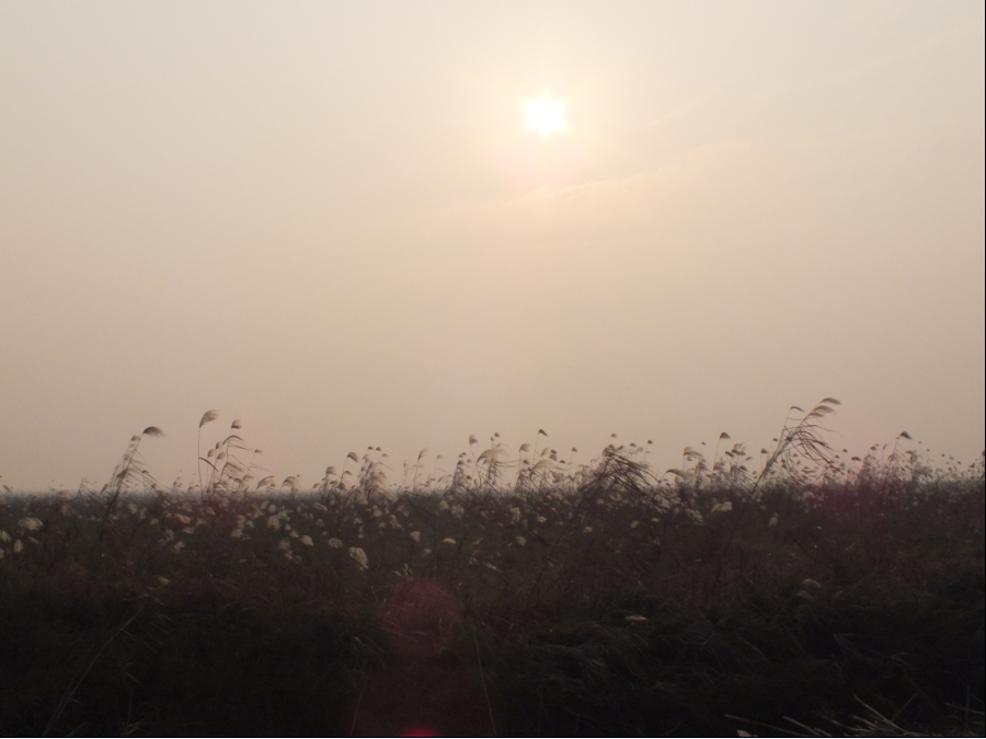 景2.png